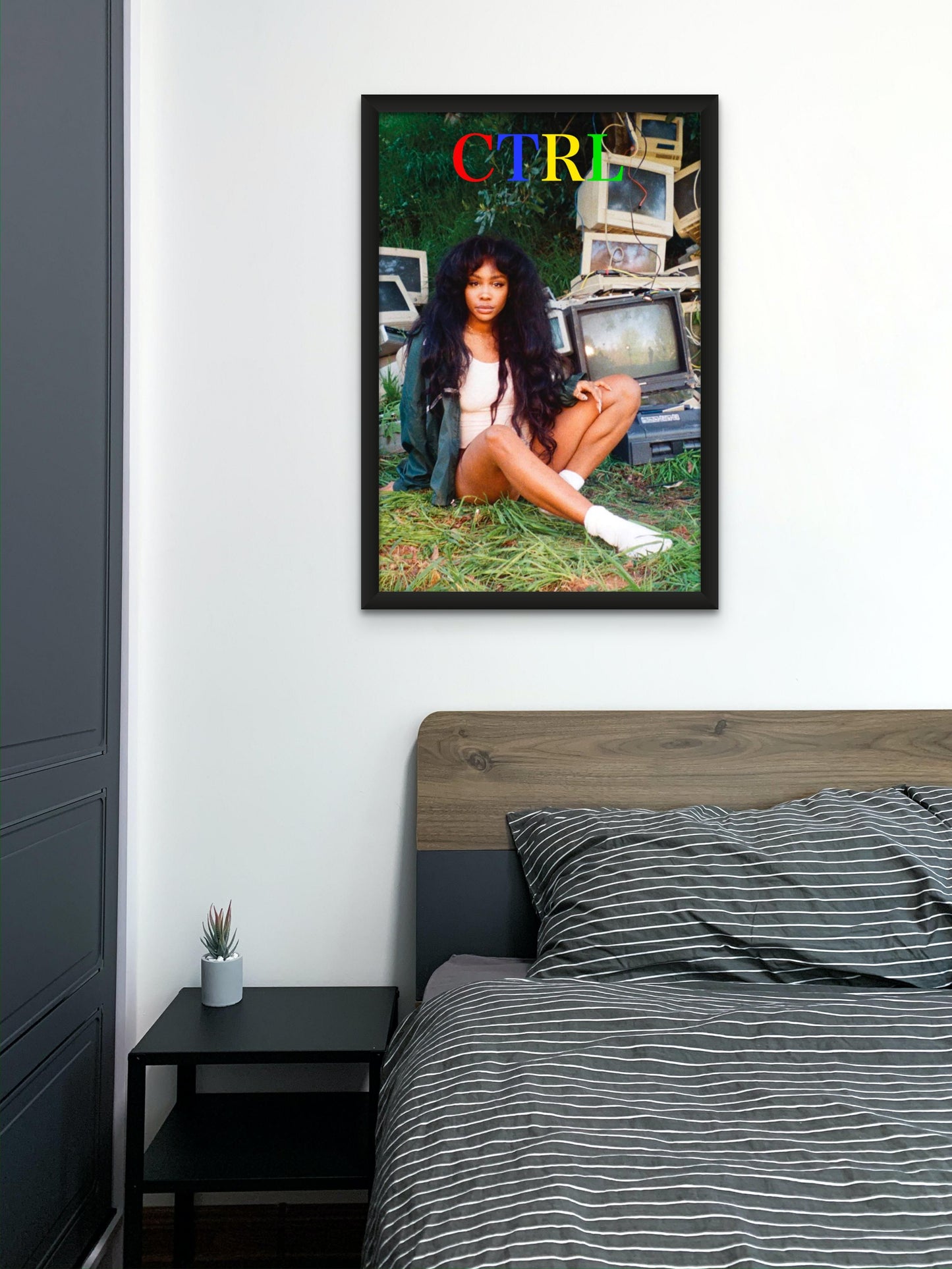 SZA - CTRL Album Art - Poster and Wrapped Canvas